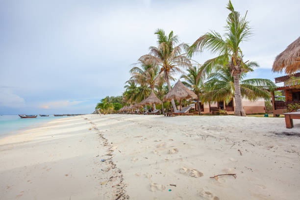 istock Tropical beach with turquoise water and palm tree beach resort. 1543126344