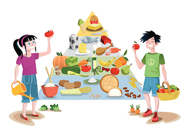 ilustraciones, imágenes clip art, dibujos animados e iconos de stock de los niños y guía de pirámide de alimentos - food pyramid food healthy eating spaghetti