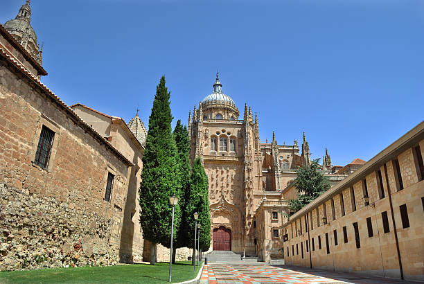 istock Cathedral of Salamanca 154317371