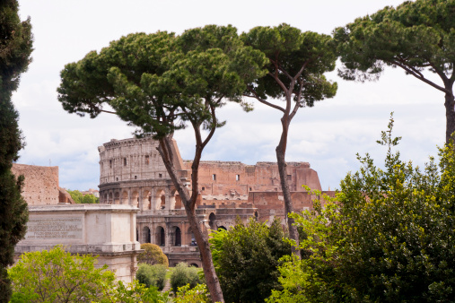 View of the Coliseum from Palatine Hill. Rome, Italy