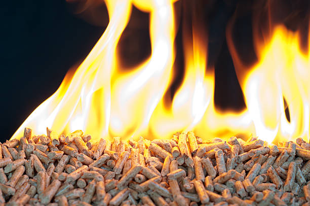 istock Alternative energy burning for heat 154319247