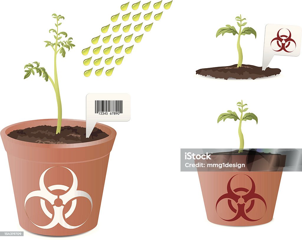 Tomatenpflanze mit bio hazard mark - Lizenzfrei Biologie Vektorgrafik