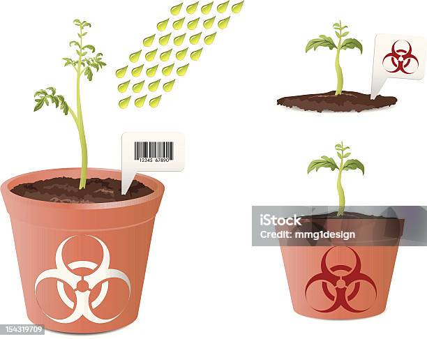 Pomidor Z Bio Zagrożenie Znak - Stockowe grafiki wektorowe i więcej obrazów Badanie genetyczne - Badanie genetyczne, Bez ludzi, Biologia - Nauka