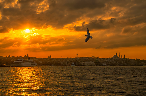 A flying seagull at sunset and a cruise ship and istanbul landscape in the background