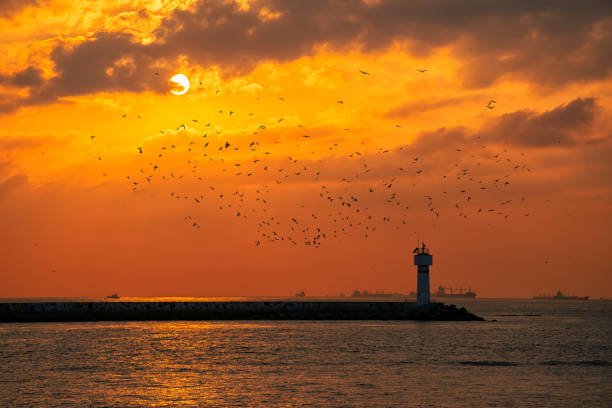 istock Amazing Sunset and Kadikoy Lighthouse 1543210072