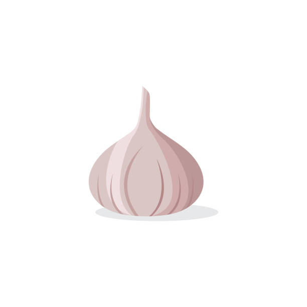 stockillustraties, clipart, cartoons en iconen met garlic logo icon vector illustration - knoflook