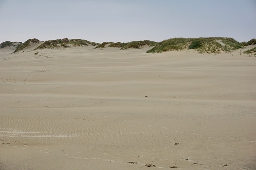 Wooden path in the middle of nowhere