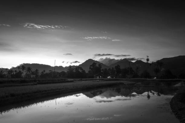 istock Black Whites Landscpe Photos 1543254767