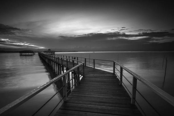 istock Black Whites Landscpe Photos 1543270050