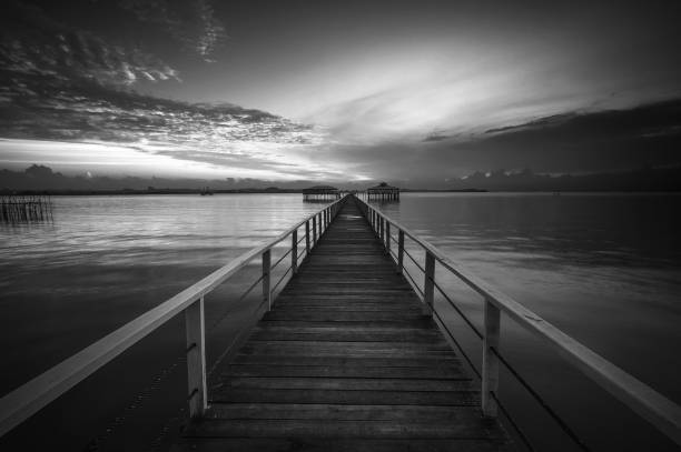 istock Black Whites Landscpe Photos 1543270054