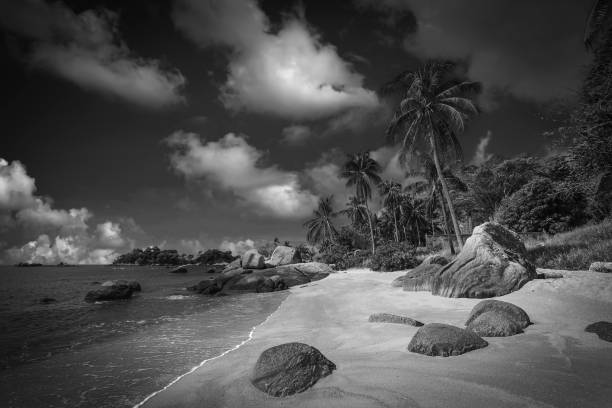 istock Black Whites Landscpe Photos 1543275332