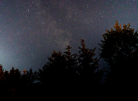 night with stars in the dark forest