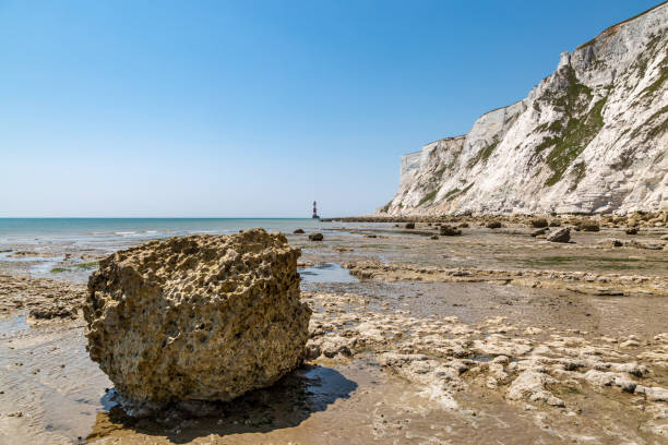 istock Looking out over the beach at low tide, towards Beachy Head Lighthouse 1543291054