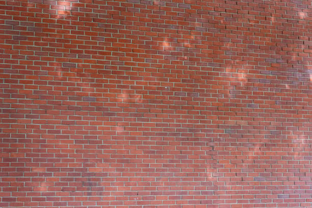 istock Red Brick Wall Texture Background with light and shadow of the tree 1543320887