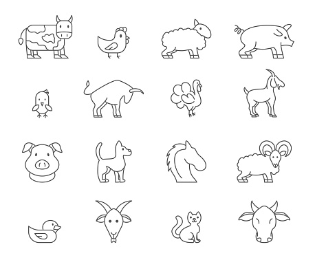 Farm cattle. Domestic animal. Livestock or poultry icons. Line chicken and sheep. Cow signs. Pig and cow symbols. Turkey bird. Farming horse. Meat like beef and poultry. Vector outline pictograms set