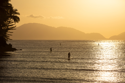 Four guys practicing stand up paddle during sunset.