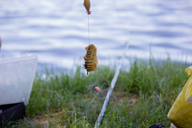 cebo de aparejos de pesca, río de pesca. enfoque selectivo. - lure loc fotografías e imágenes de stock