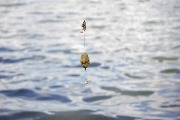 cebo de aparejos de pesca, río de pesca. enfoque selectivo. - lure loc fotografías e imágenes de stock