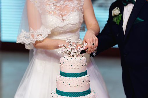 newlyweds cut a wedding cake. Hold knife together and cut the cake together. close up