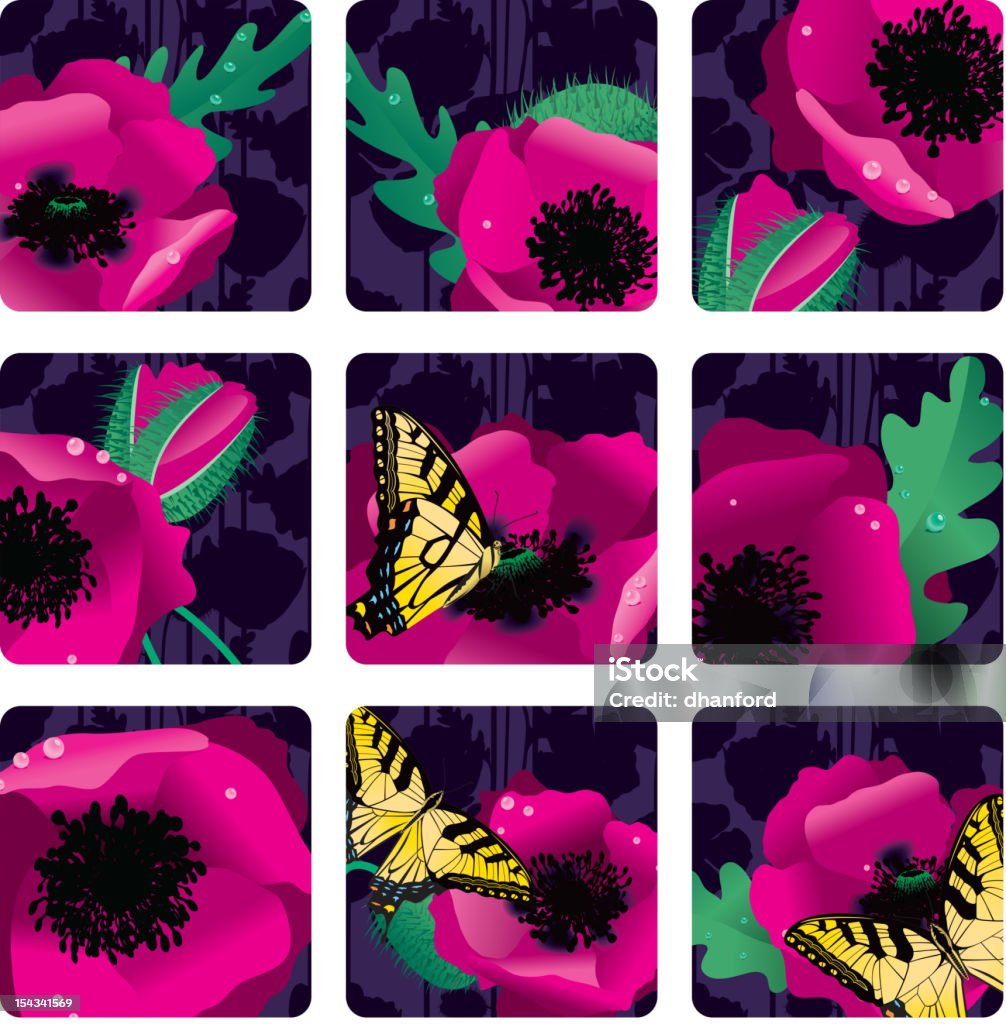 Rosa Oriental Papaveráceas à noite quadrados ou ícones - Royalty-free Papilio phorcas arte vetorial