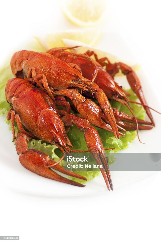 Prestate - Foto stock royalty-free di Aragosta - Frutto di mare