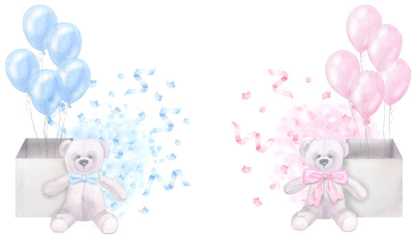 Banner blue pink, boy or girl. Balloons in a box, teddy bear, confetti. Hand drawn watercolor illustration isolated on white background. For gender reveal party, baby shower, children's holiday Banner blue pink, boy or girl, birthday. Balloons in a box, teddy bear, confetti. Hand drawn watercolor illustration isolated on white background. For gender reveal party, baby shower, children's holiday. pink teddy bear stock illustrations