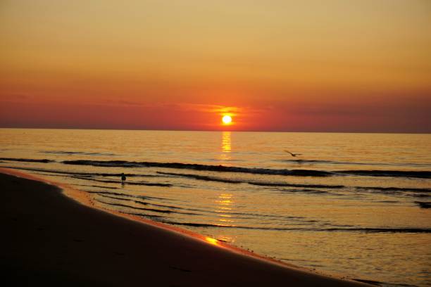 istock Multicolored sky during sunset in Scandinavia. Bronze sky during sunset on the beach of Denmark. Denmark beach at sunset. Kjul Beach at sunset. Sunset in Hirtshals. 1543453983