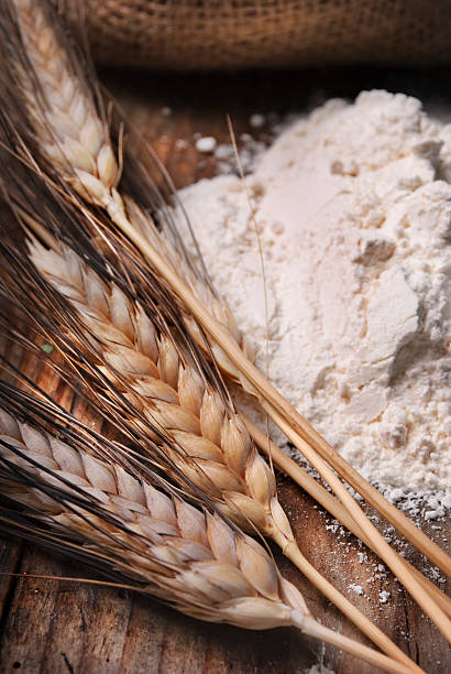 위트 귀 - wheat whole wheat close up corn on the cob 뉴스 사진 이미지
