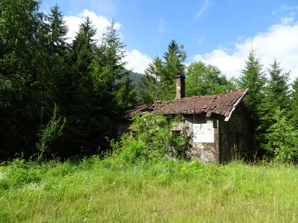 istock old house in the woods 1543470166
