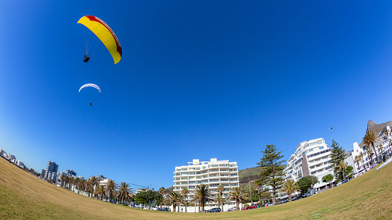 Para gliders tandem parachutes blue sky closeup flight landing front of buildings mountains onto promenade grass field at Sea point Cape Town.
