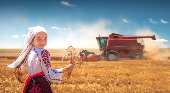 Young girl with traditional Bulgarian folklore costume at the agricultural wheat field during harvest time with industrial combine machine