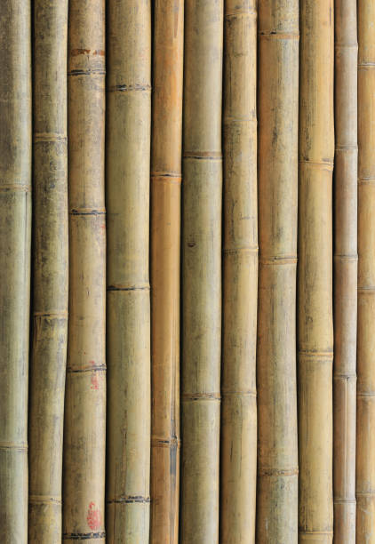 istock brown background and wooden texture bamboo fence 1543487223