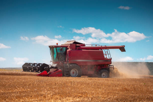 istock Combine harvester machine working in a wheat field 1543487739