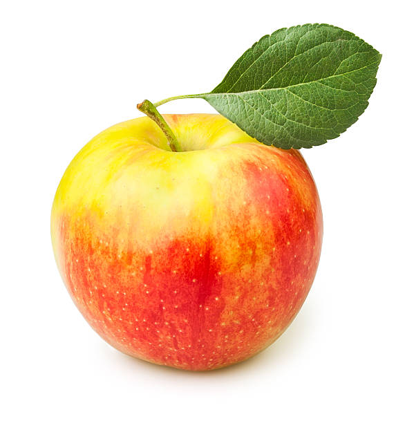 apple uma - maçã braeburn imagens e fotografias de stock