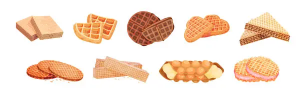 Vector illustration of Waffle as Sweet Dish from Leavened Batter or Dough Vector Set