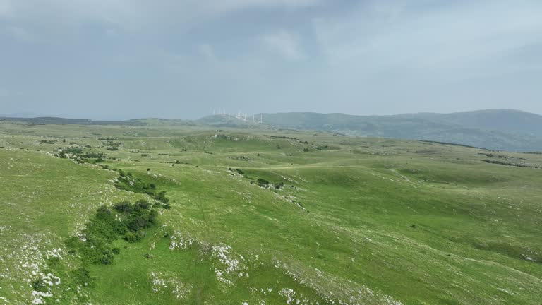 Aerial shot of meadows covered with soft mist on a cloudy day in the countryside.