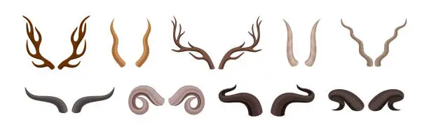 Vector illustration of Different Horns as Pointed, Bony Animal Head Part Vector Set