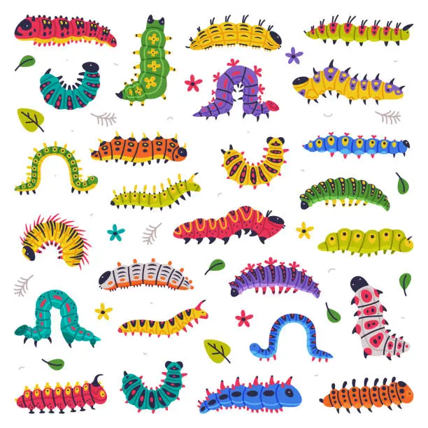 Vector illustration of Bright Caterpillars as Larval Stage of Insect Crawling and Creeping Vector Set