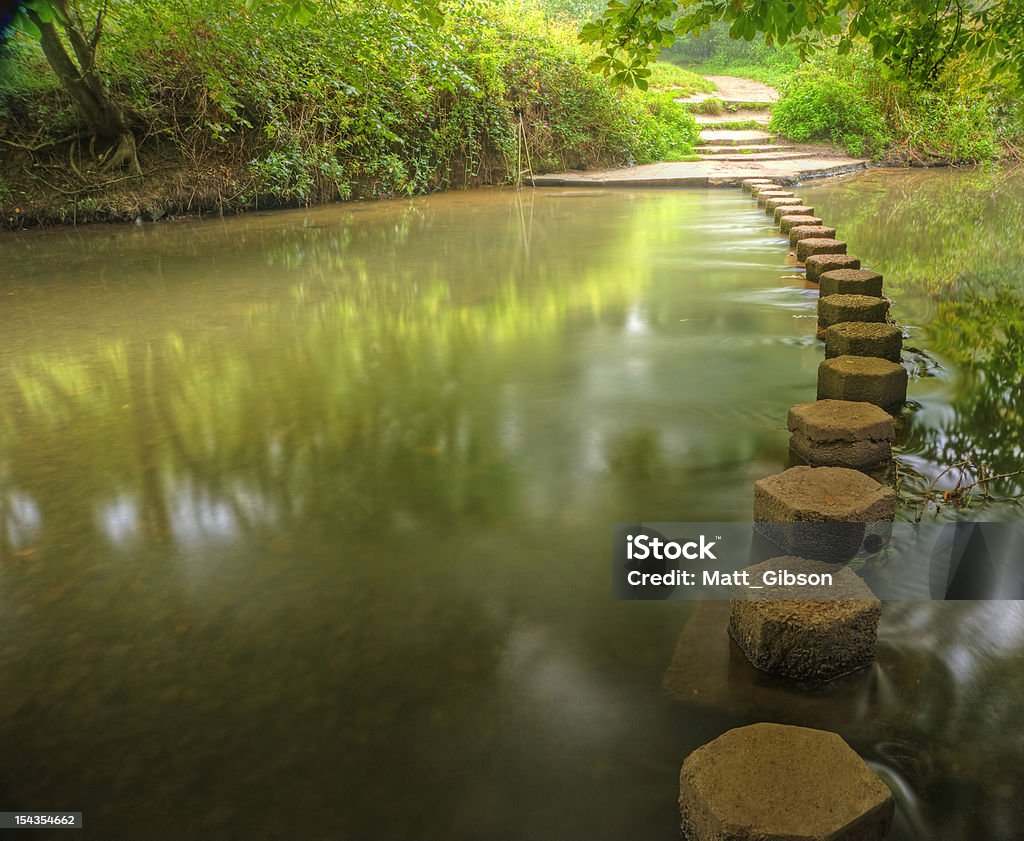 Belle scène de la forêt enchantée stream qui coule à travers la végétation - Photo de Passage à gué libre de droits