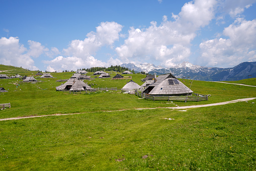 Velika planina, Big Pasture Plateau in Slovenia, Europe, with lot of cottages, stable for cows, big group of tourists, with mountains and blue cloudy sky in background.