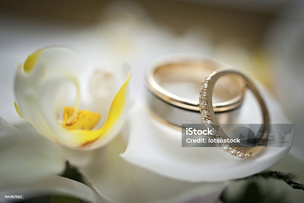 Alianças de casamento sentado em uma flor branca e amarela - Royalty-free Anel de Casamento Foto de stock