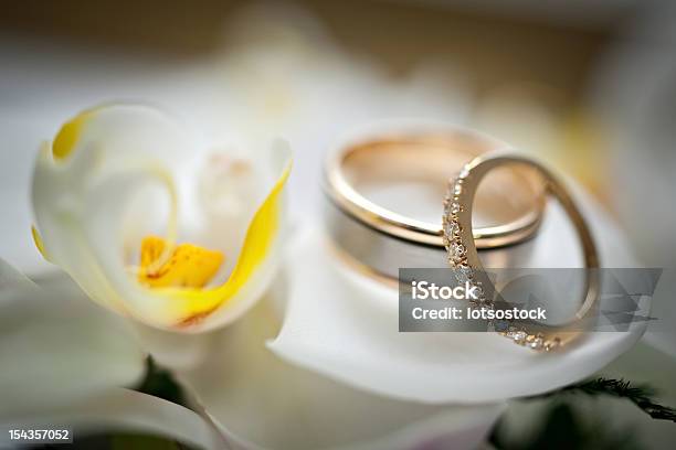 Alianças De Casamento Sentado Em Uma Flor Branca E Amarela - Fotografias de stock e mais imagens de Anel de Casamento