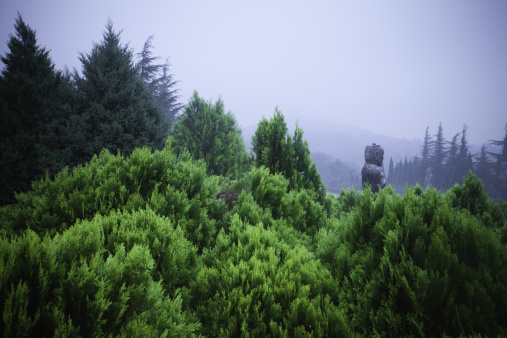 um is a joint tomb of Emperor Tang Gaozong(628-705AD).Located at Mt.liang,85km from xi'an,a famous historical interest spot in China.The exqusite stone statues and vivid frescos from its satellites are outstanding masterpieces of Tang Dynasty.shoot in rain.