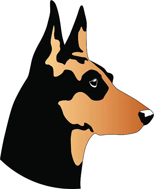 Vector illustration of Dog head