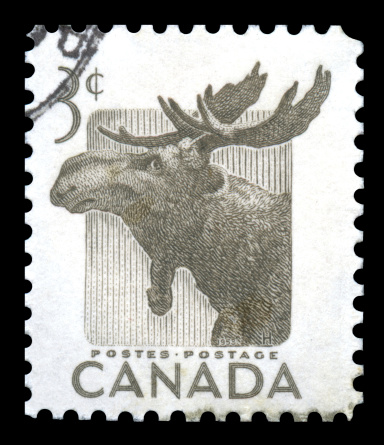 Canada Postage Stamp with an engraved image of an elk celebrating national wildlife week in 1953