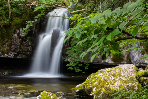 istock Leaves and Gastack Beck Waterfall 1543590644