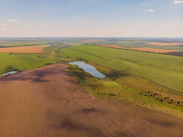 istock Beautiful view to the wheat fields with river and forest 1543600037