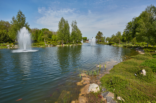 Shaved decorative bushes in a city park. Spring park lake with fountain.