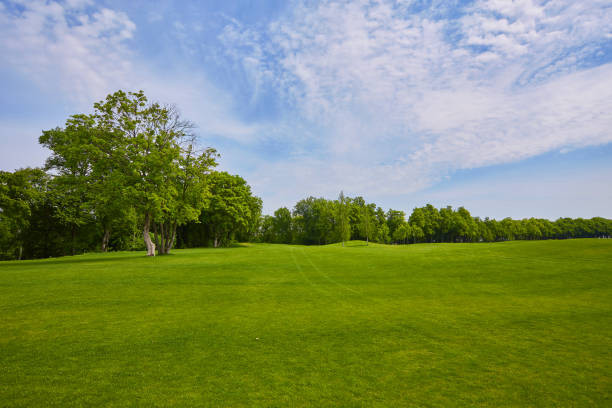 istock View of Golf Course with beautiful green field. 1543602252