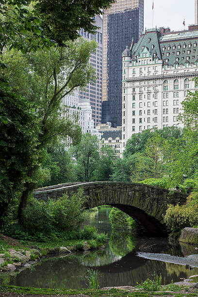 istock Vertical picture of Gapstow bridge at Central Park 154361301